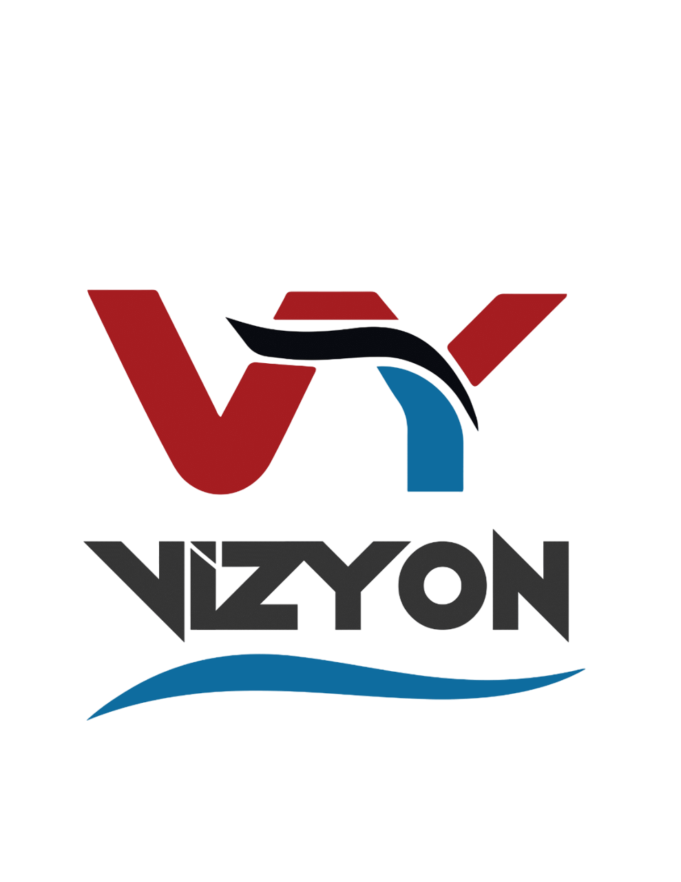 Vizyon Life Halı Yıkama Ankara